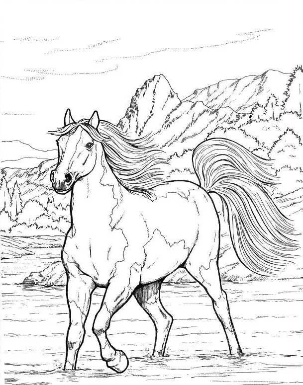 detailed horse coloring pages