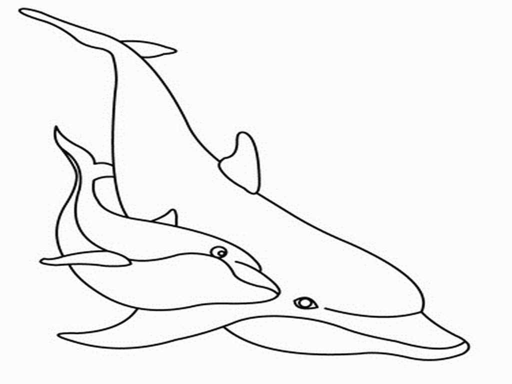 printable dolphin coloring pages