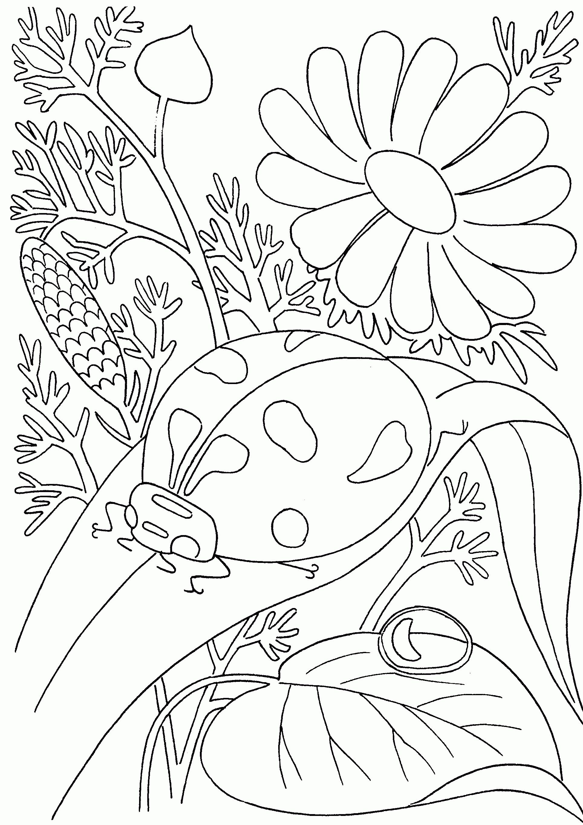 realistic insect coloring pages