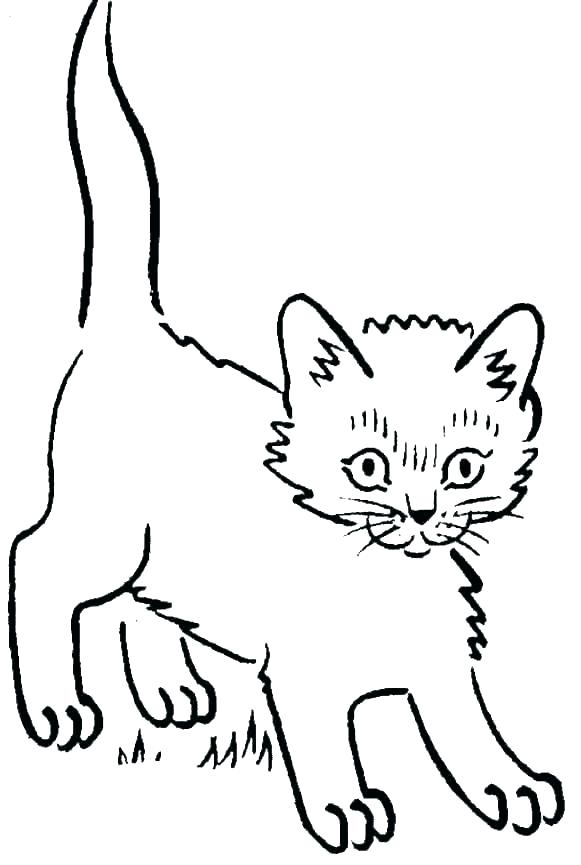 printable kitten coloring pages