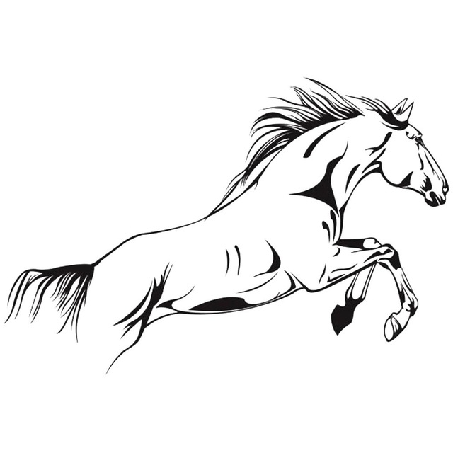 realistic horse coloring pages for adults