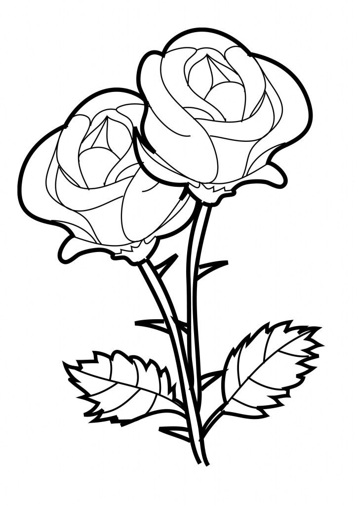 realistic rose coloring pages