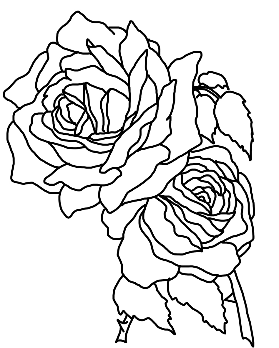 rose coloring pages free