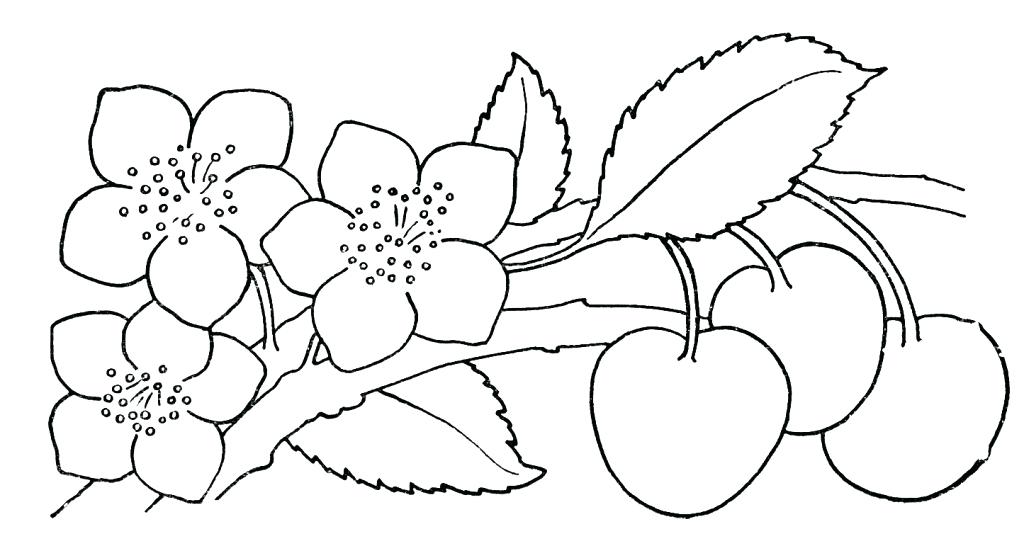 rose coloring pages printable free