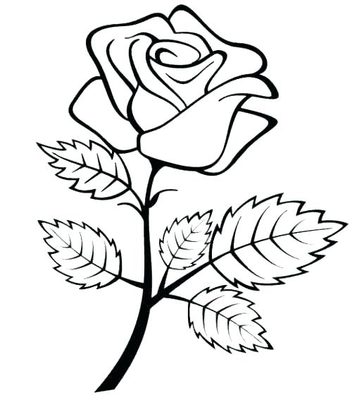 rose flower coloring pages