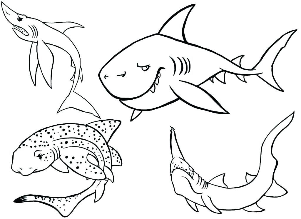 shark coloring pages free