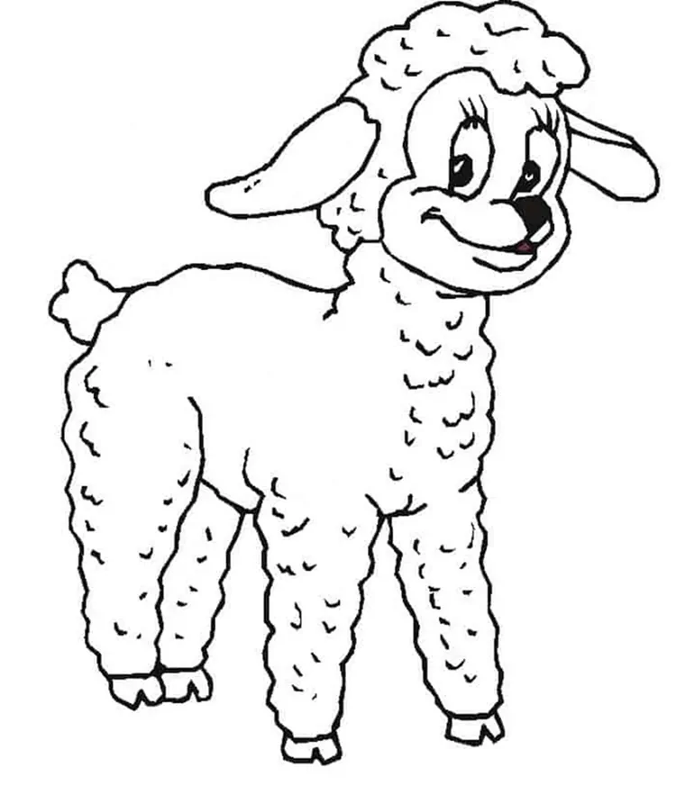 baby sheep coloring pages