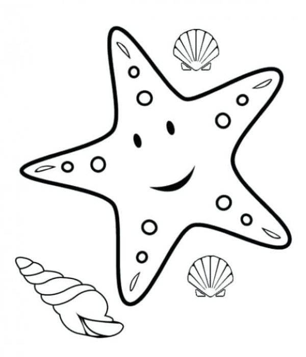 starfish coloring page