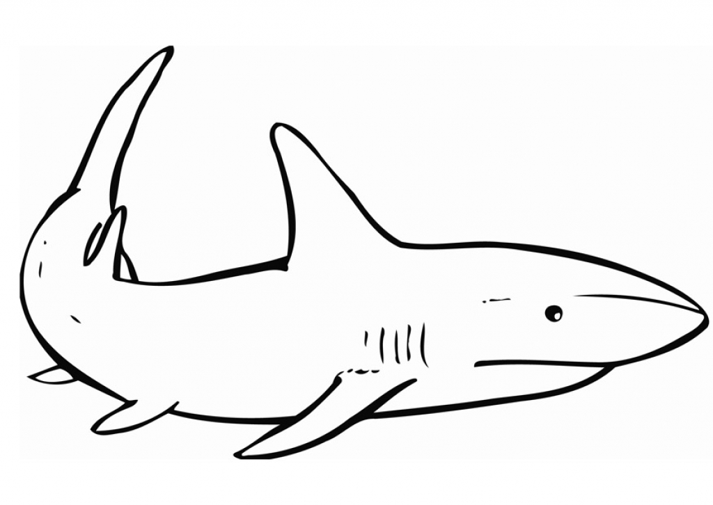 tiger shark coloring pages free