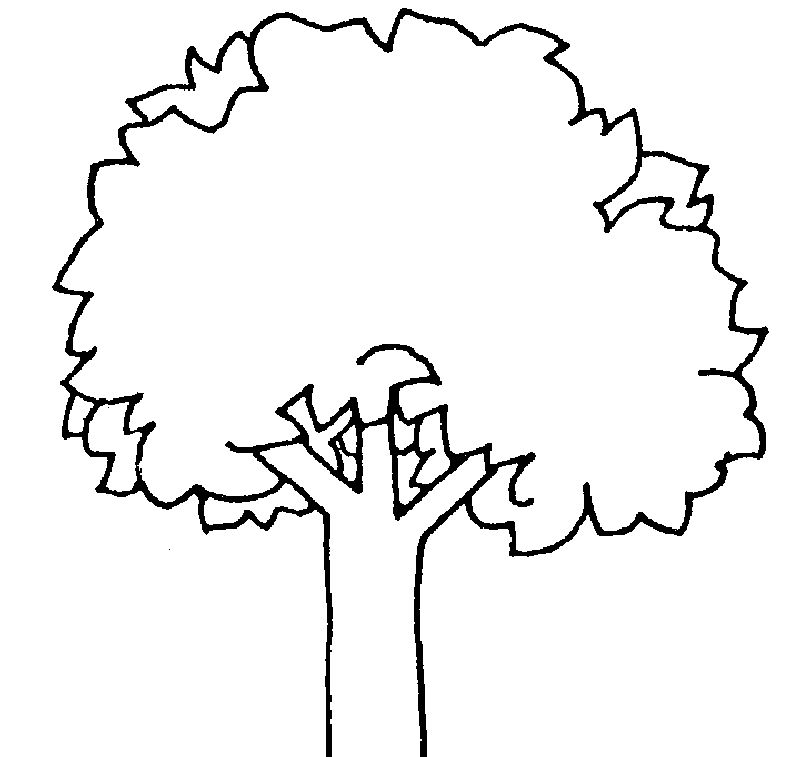 tree coloring pages