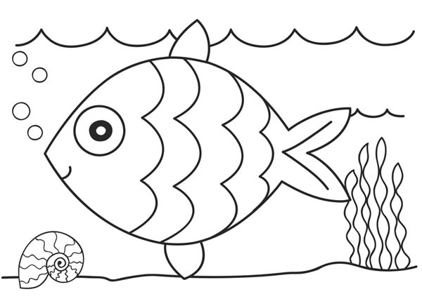 tropical fish coloring pages