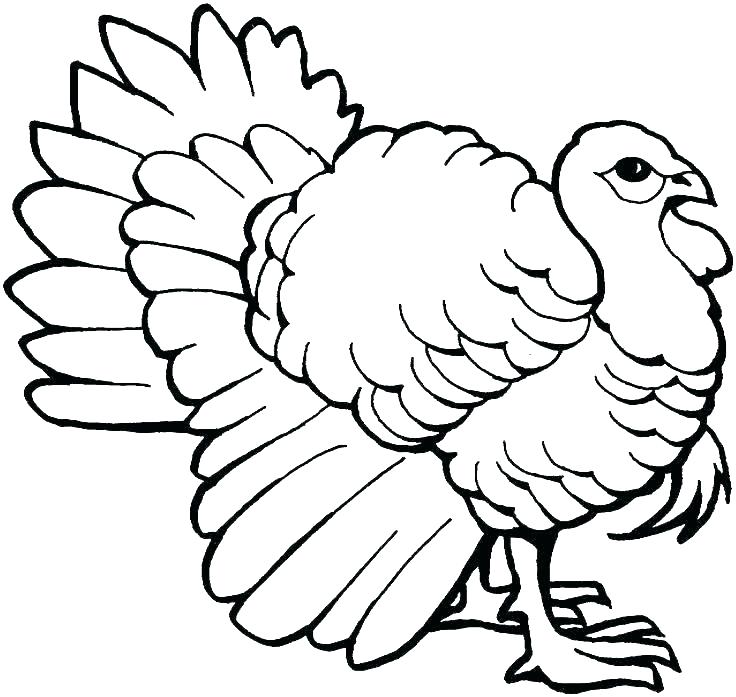 turkey coloring pages for kids