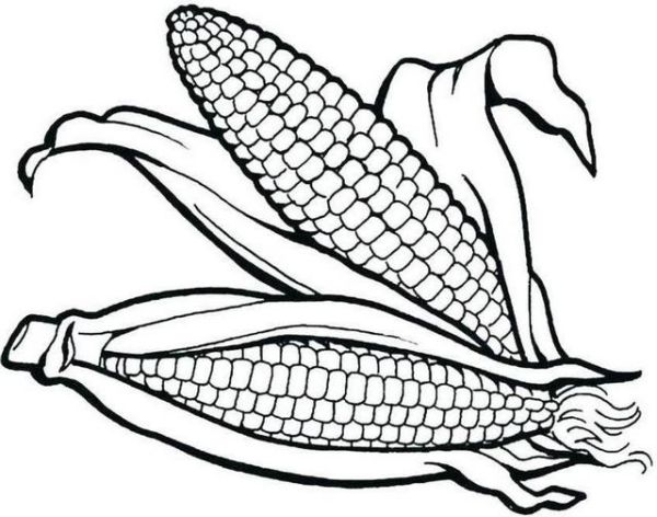 two corns coloring pages printable