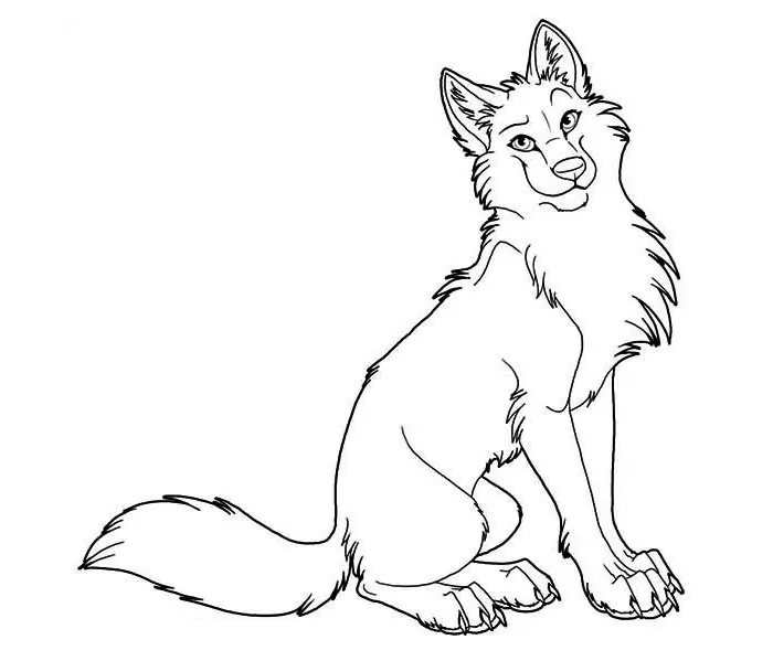 coloring pages wolf