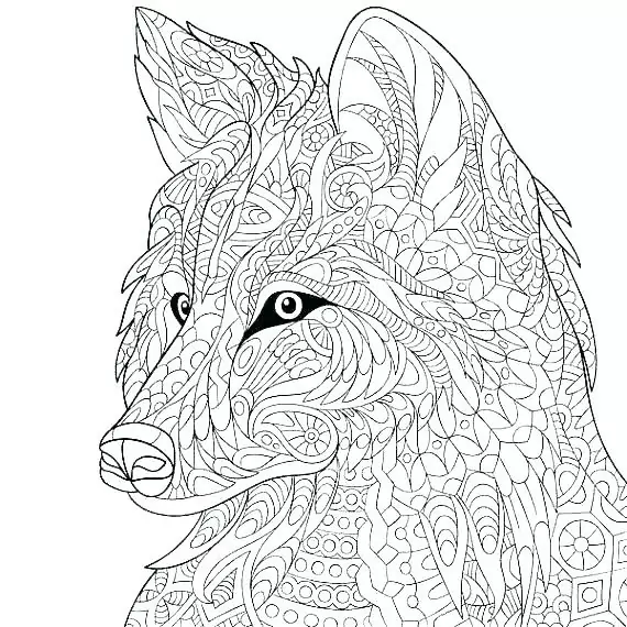 detailed wolf coloring pages