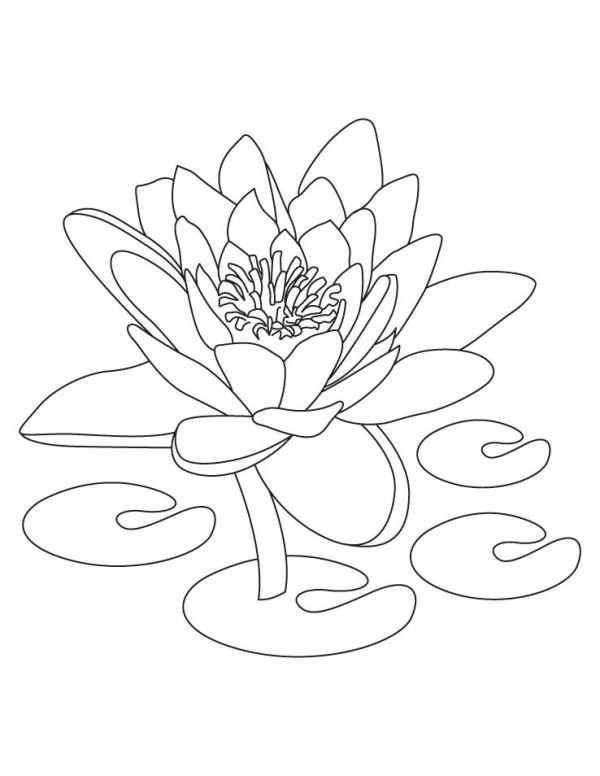 Lotus Coloring Pages for Kids Lotus Coloring Pages for Kids